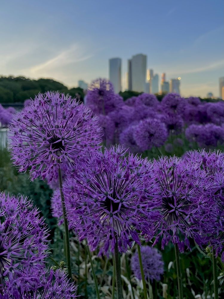 Photograph by Светлана Георкова