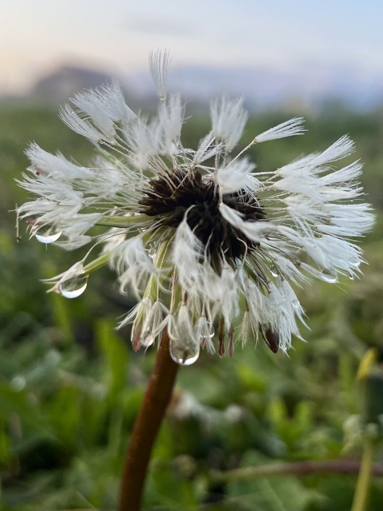 Photograph by Светлана Георкова