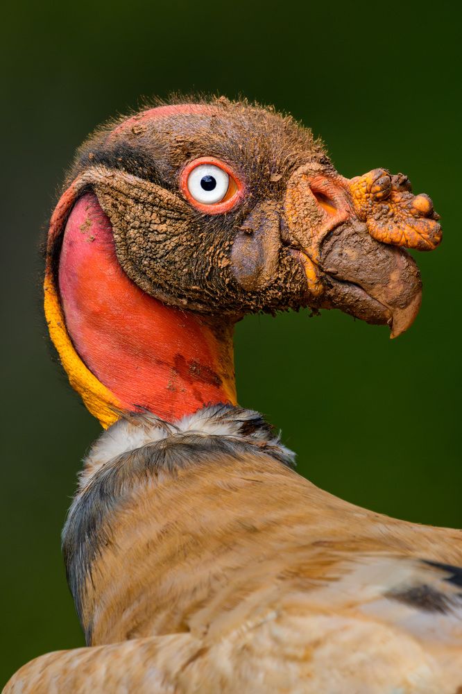 Photograph by Eliud Gil Samaniego