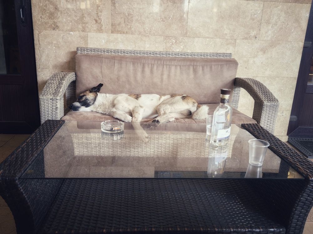 Photograph by Maiya Bulatova