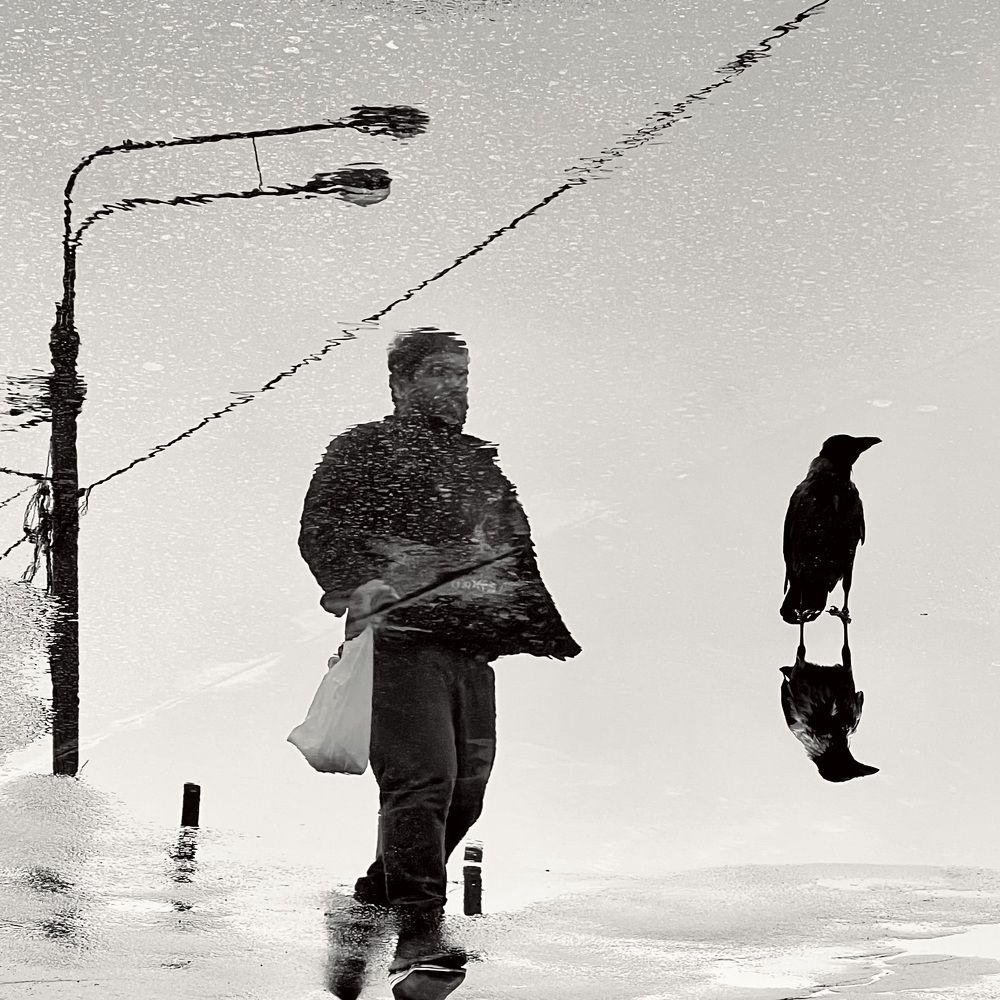 Photograph by Олег Банковский