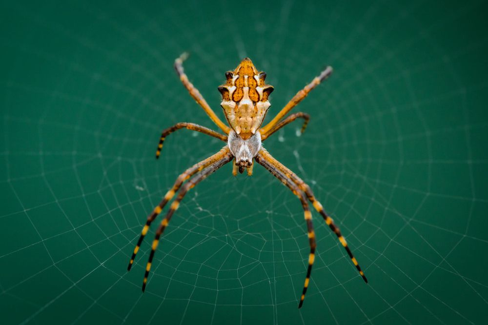 Photograph by Eliud Gil Samaniego