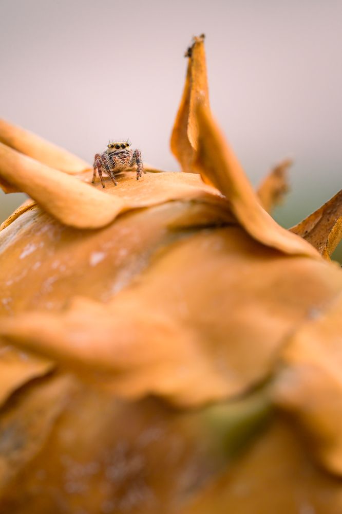 Photograph by Eliud Gil Samaniego