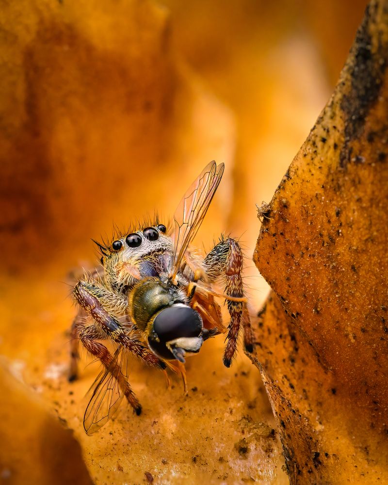 Photograph by Eliud Gil Samaniego