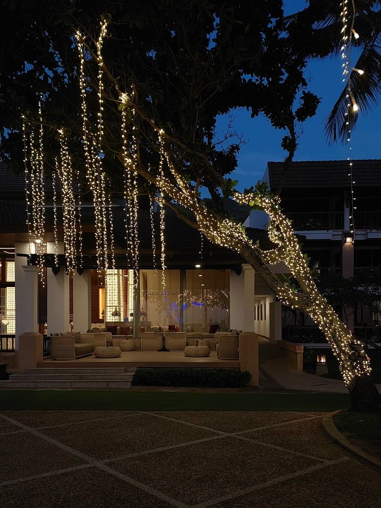 Photograph by Ольга Кирьянова