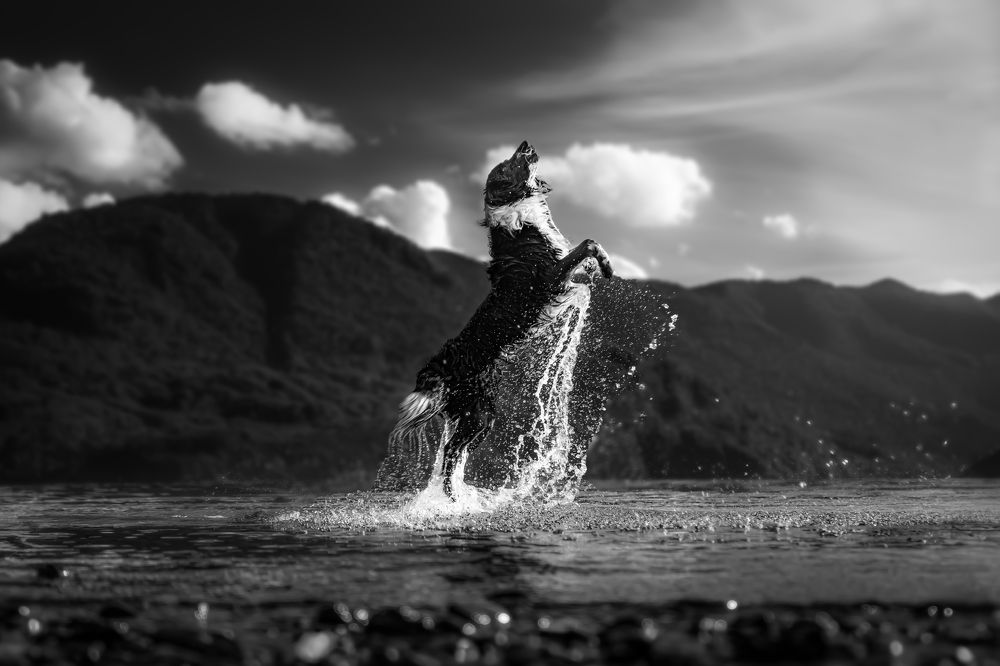 Photograph by Johan paul alegria rengifo