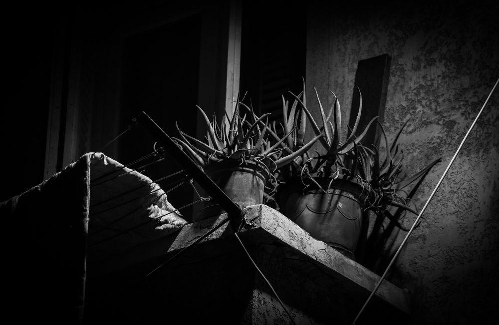 Photograph by yehia Elhellou