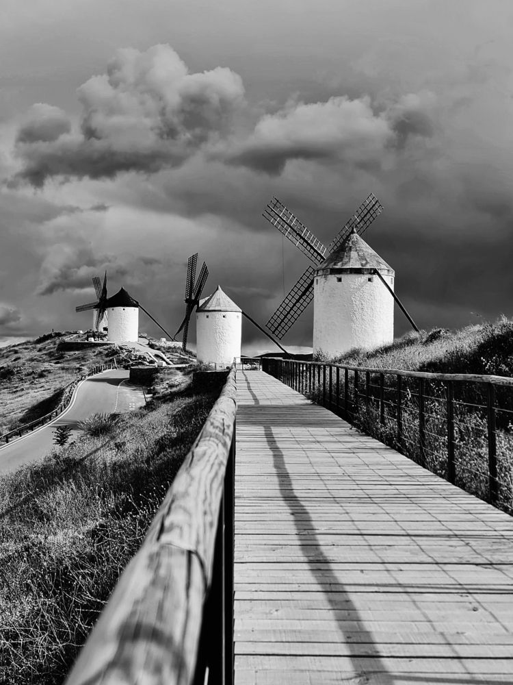 Photograph by Berénice Min