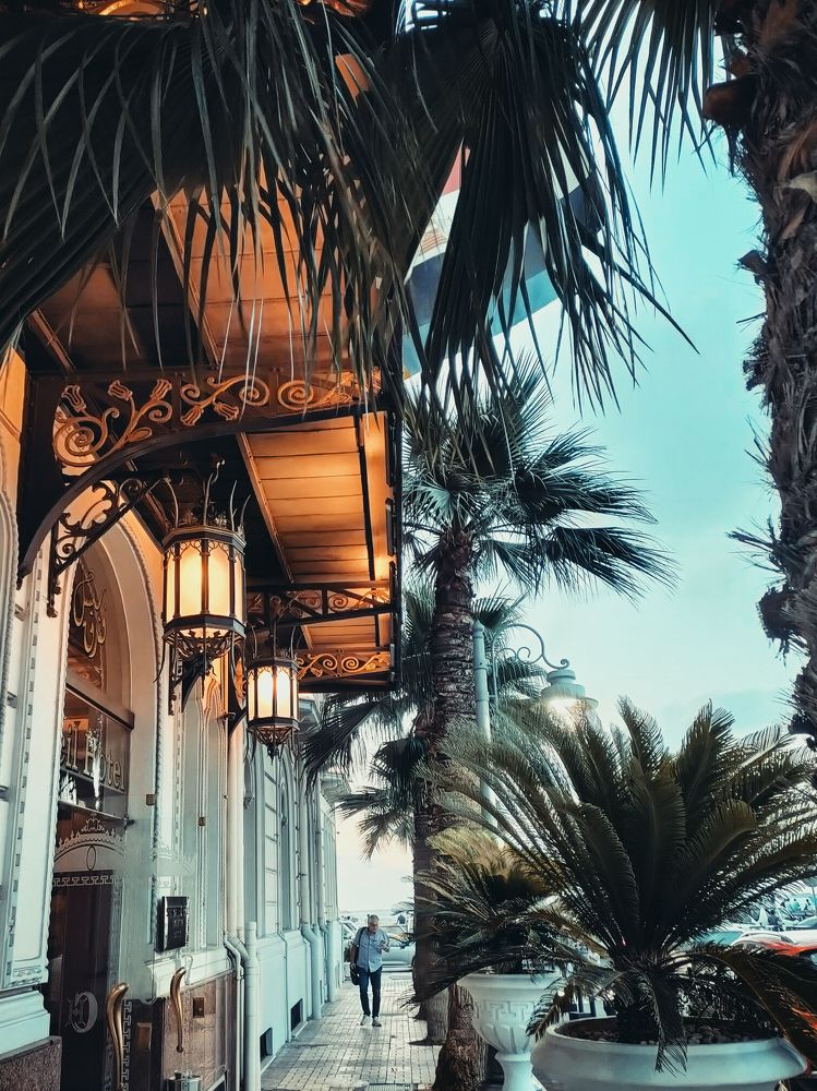 Фотография автора Sara Attia