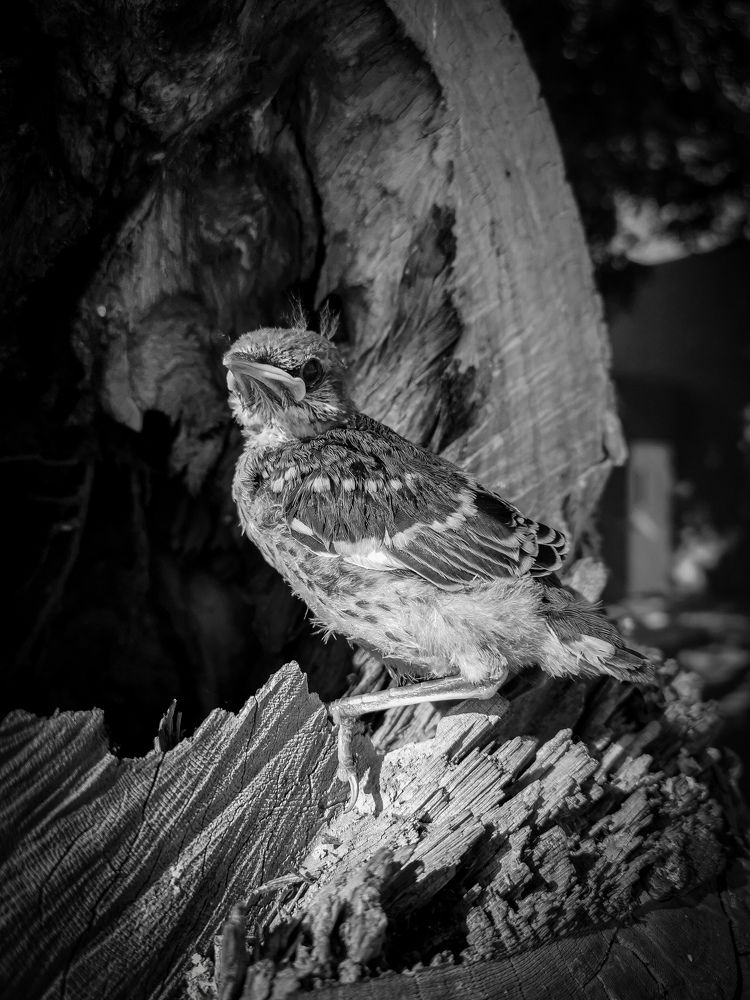 Photograph by Ivan Avitia