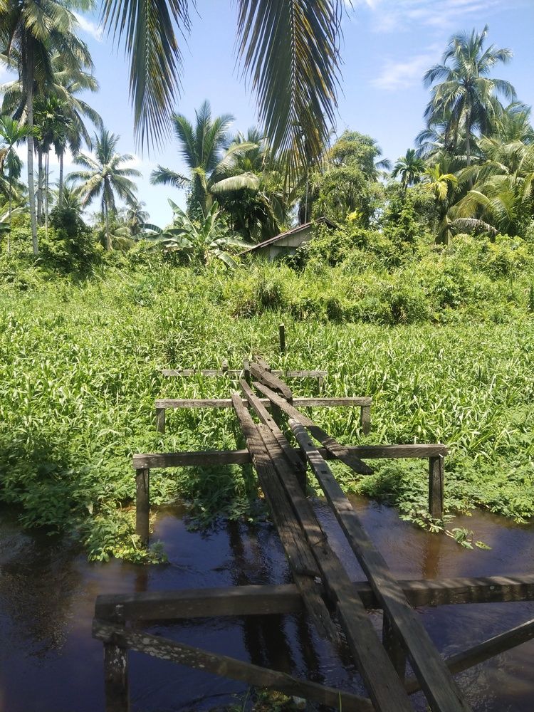 Фотография автора Ferryansyah