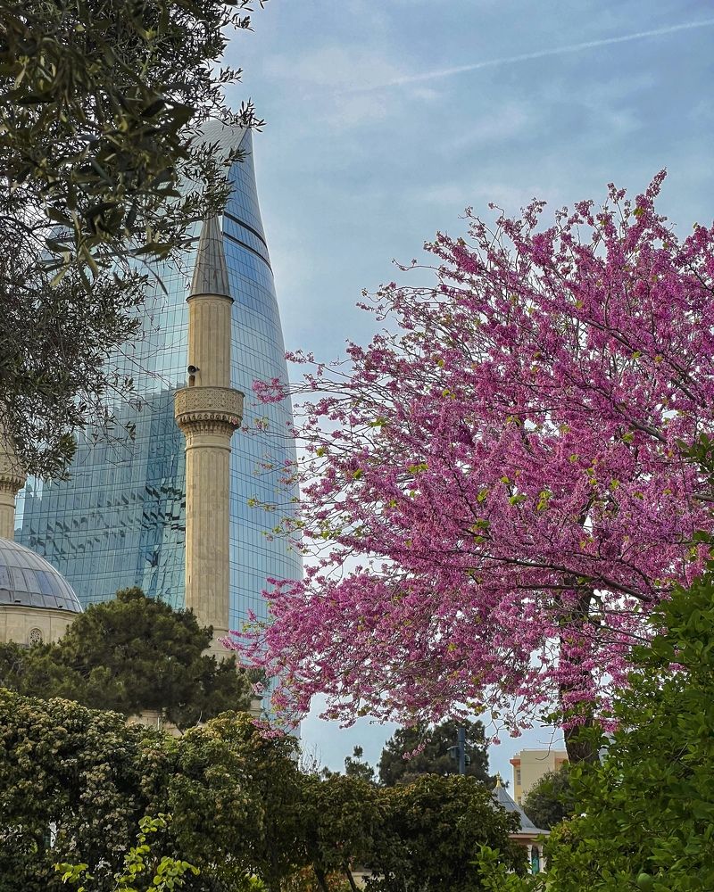 Bakıda bahar