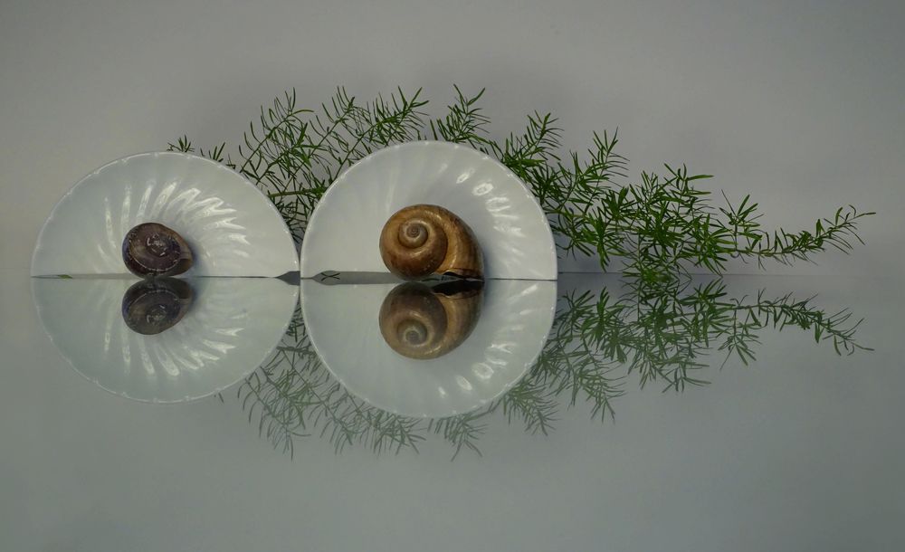 Photograph by Anna Perevozchikova