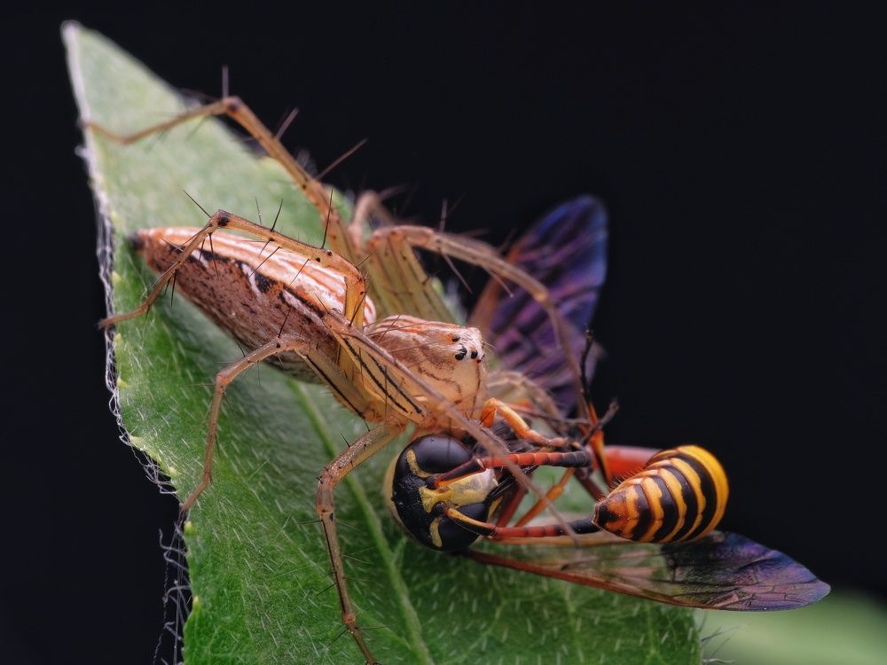 Photograph by catur handoko