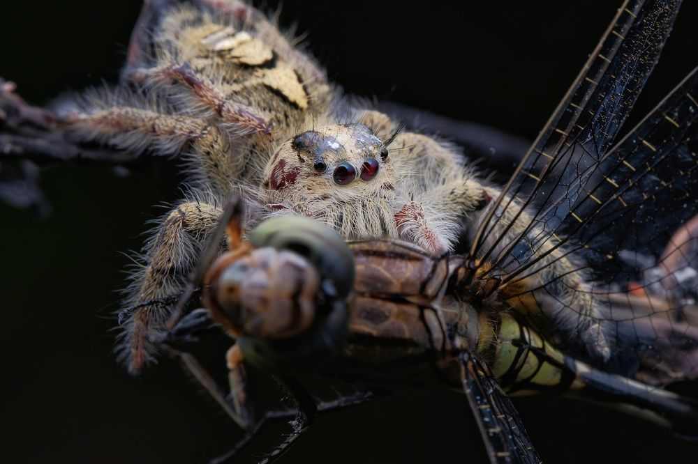 Photograph by catur handoko