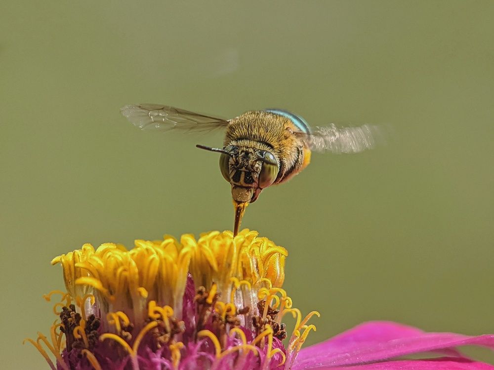 Photograph by catur handoko