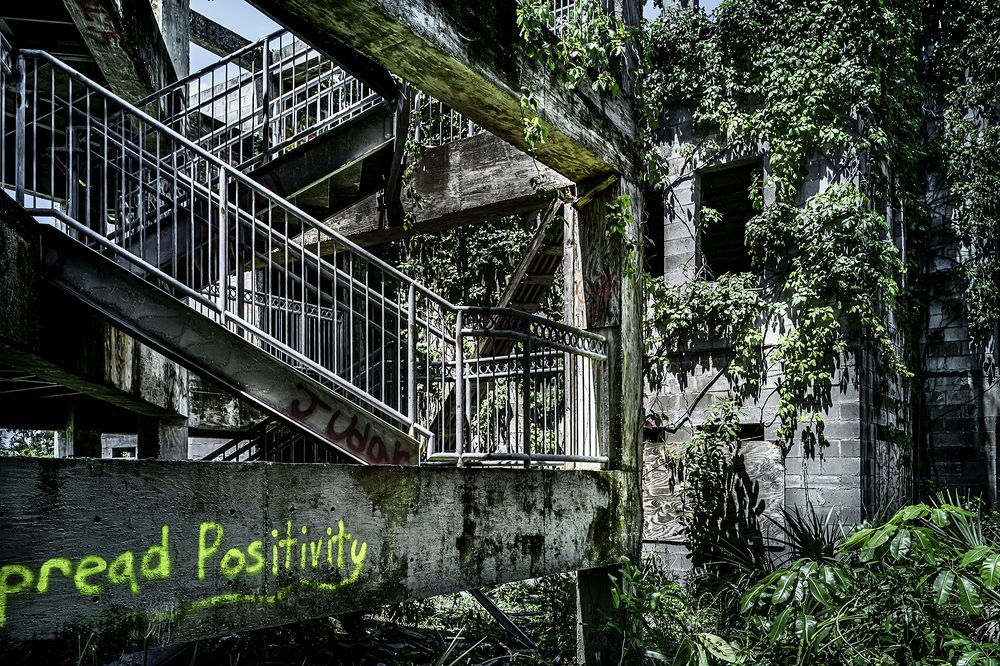 Фотография автора Ray Asiala