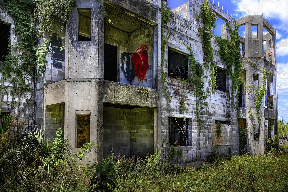 Фотография автора Ray Asiala