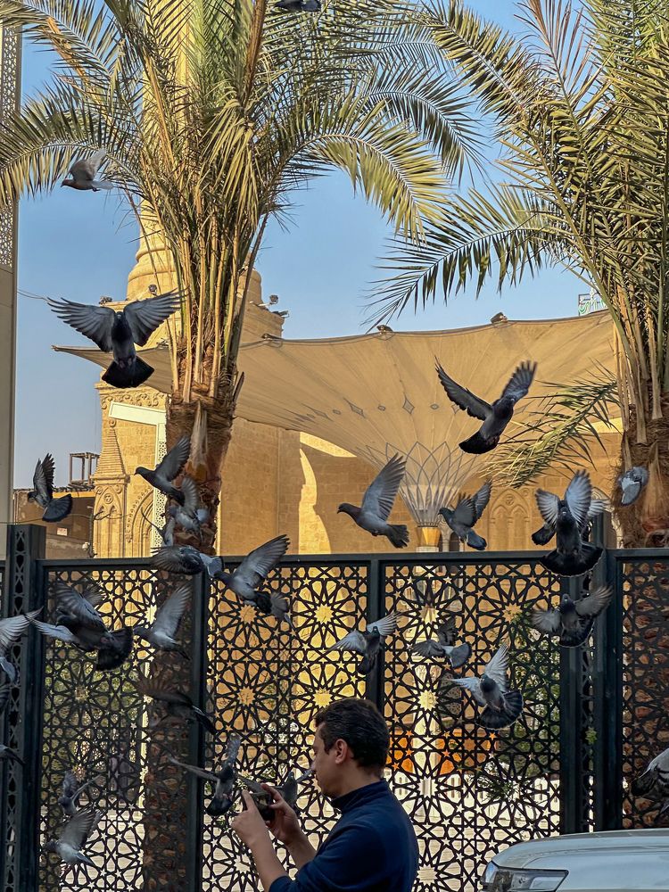 Фотография автора maram ali