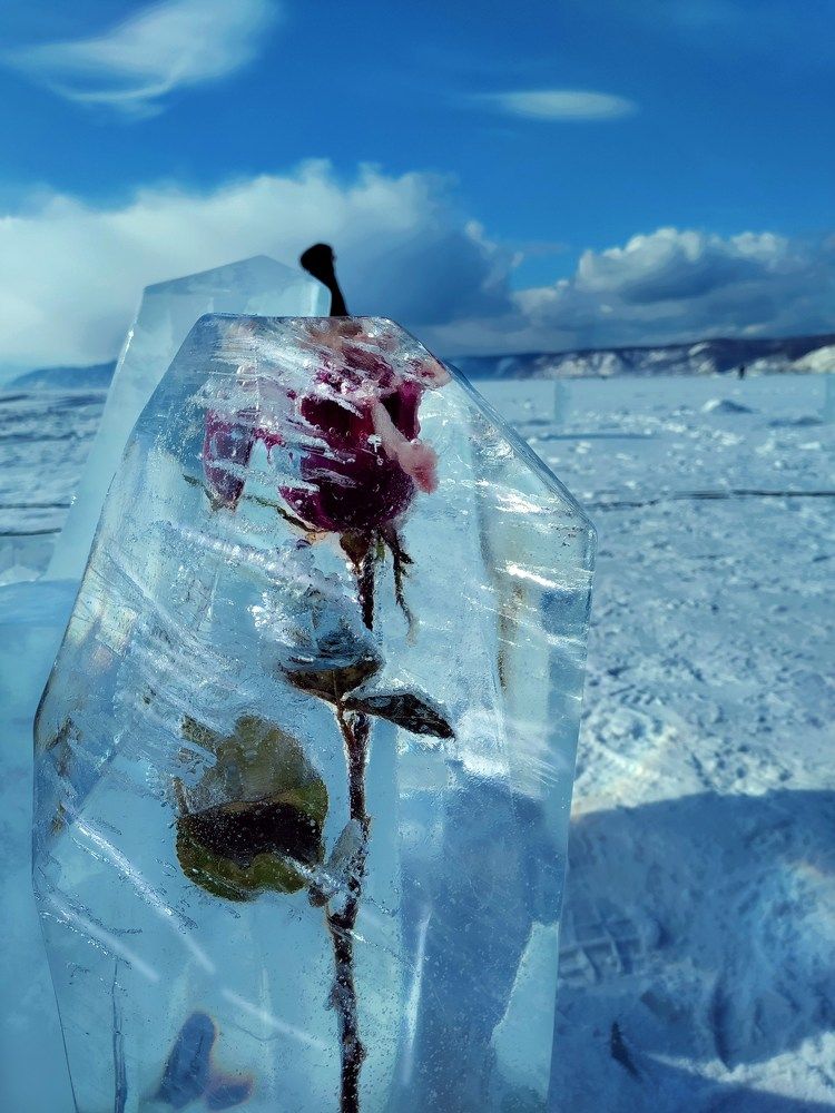 Photograph by Елена Шишкина