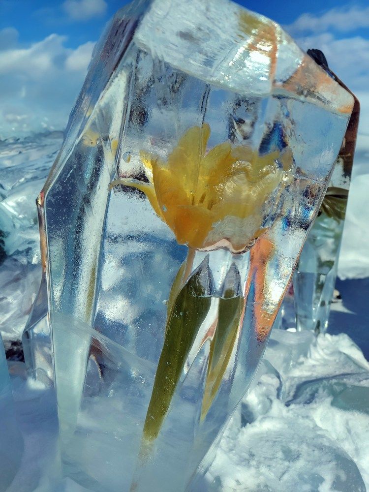 Photograph by Елена Шишкина