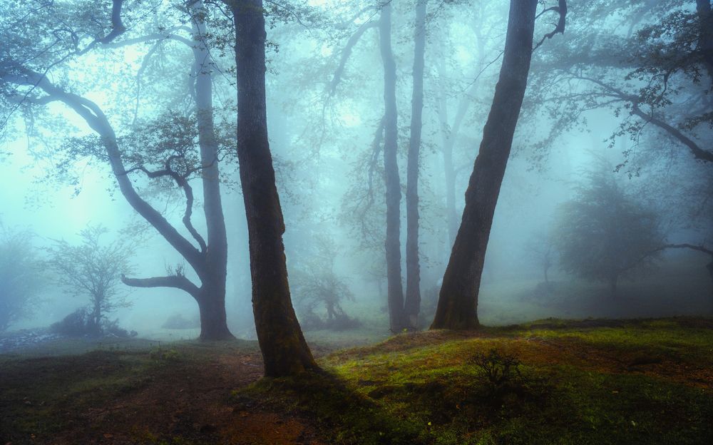 Photograph by Morteza Ghanbari