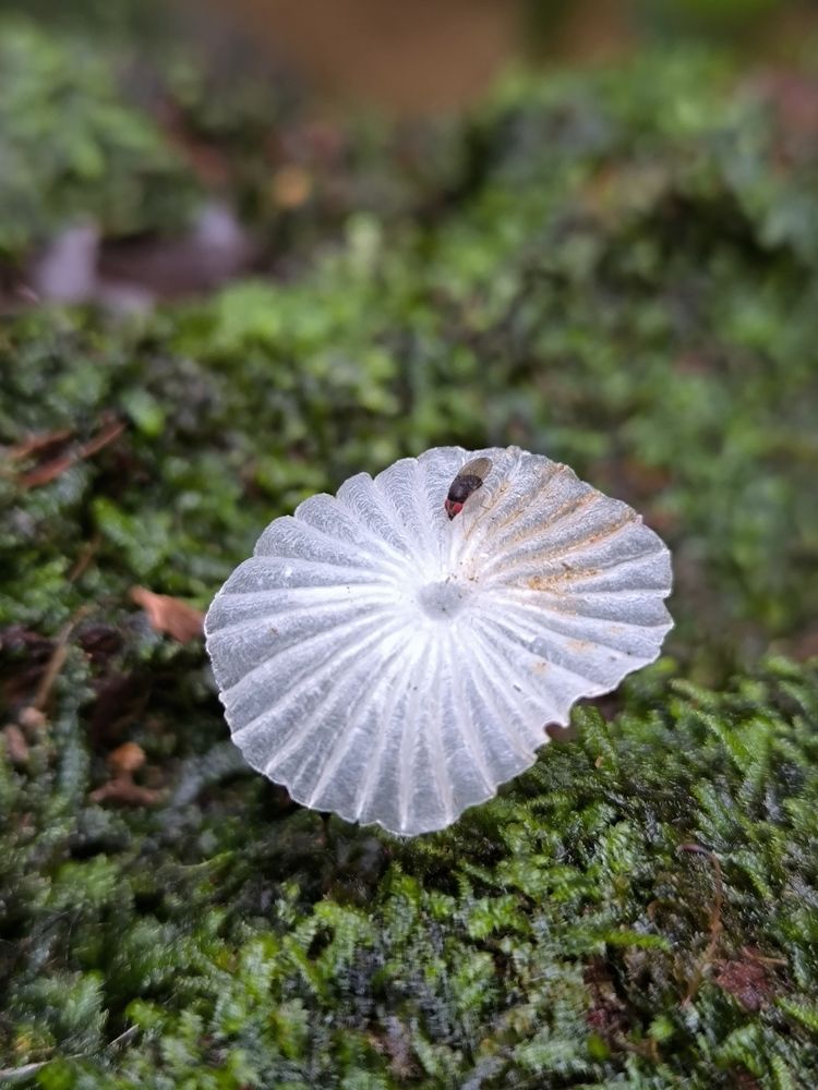 Photograph by Daniyan Aulia Rahman