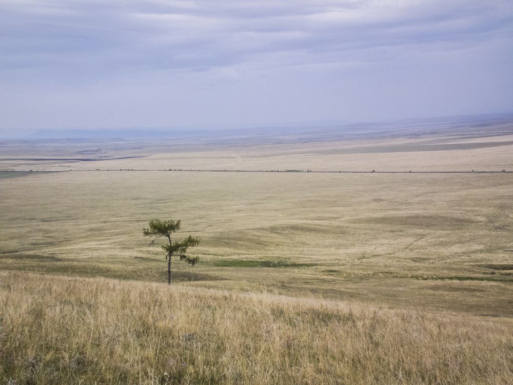 Photograph by Анна Ермилова