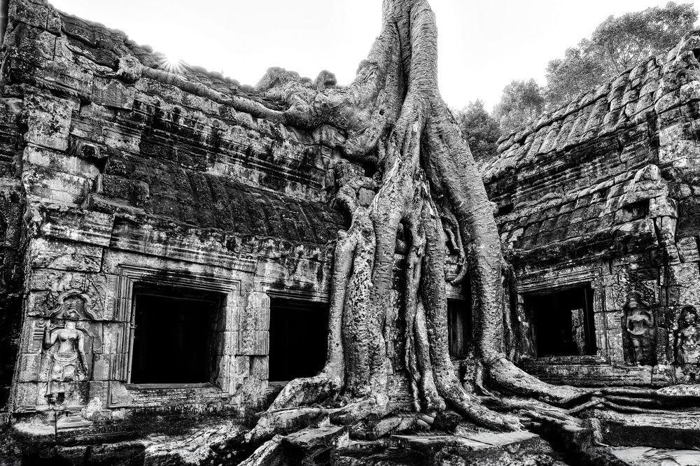 Photograph by Eliud Gil Samaniego