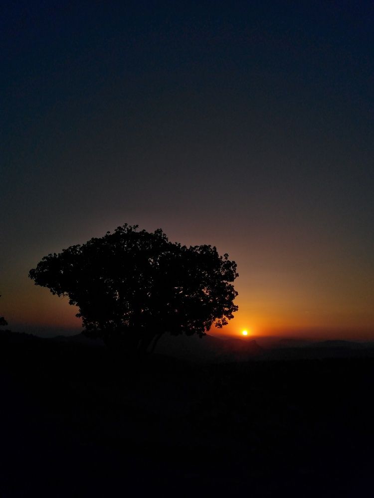 Photograph by Marziyeh Nasiri