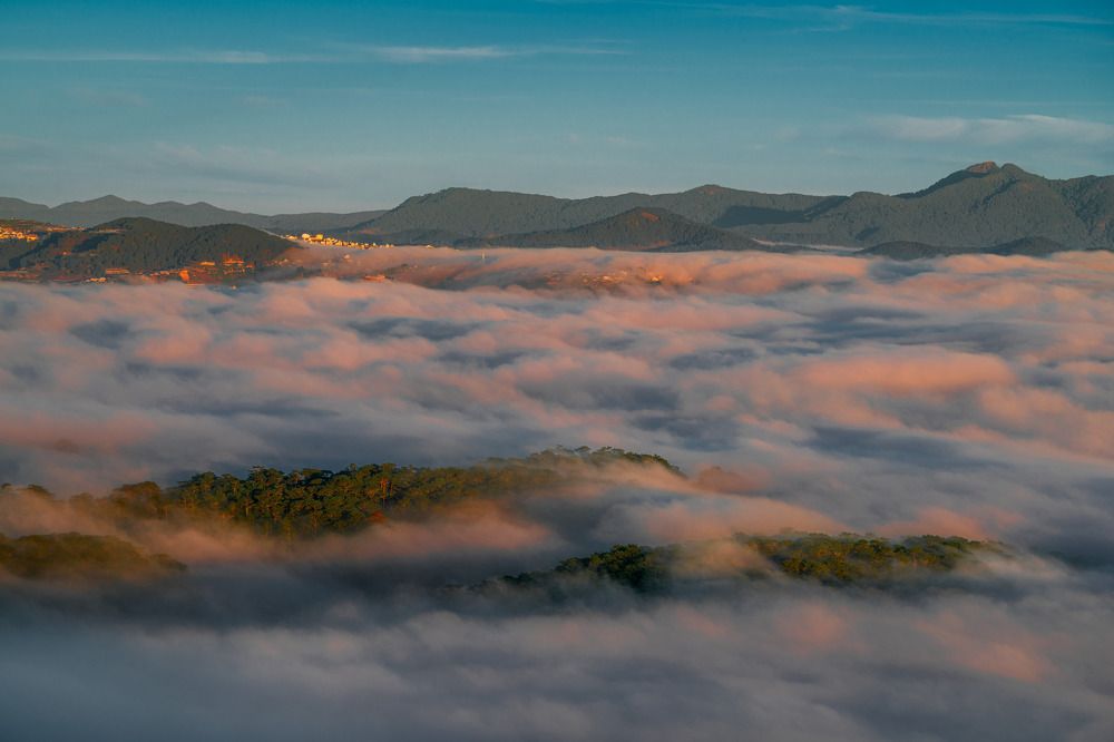 Photograph by nguyễn minh