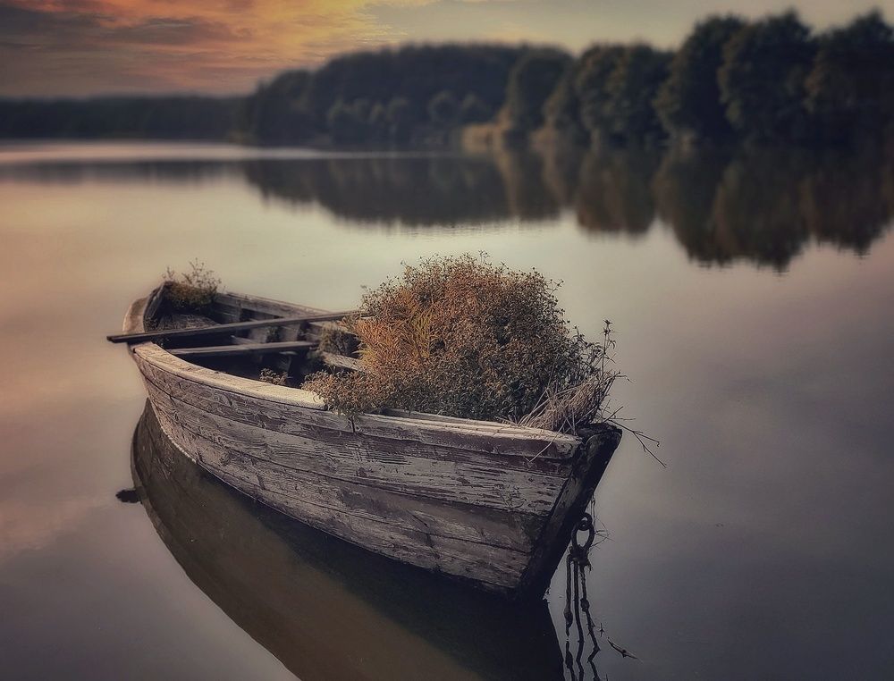 Photograph by Natalia Bolotenkova