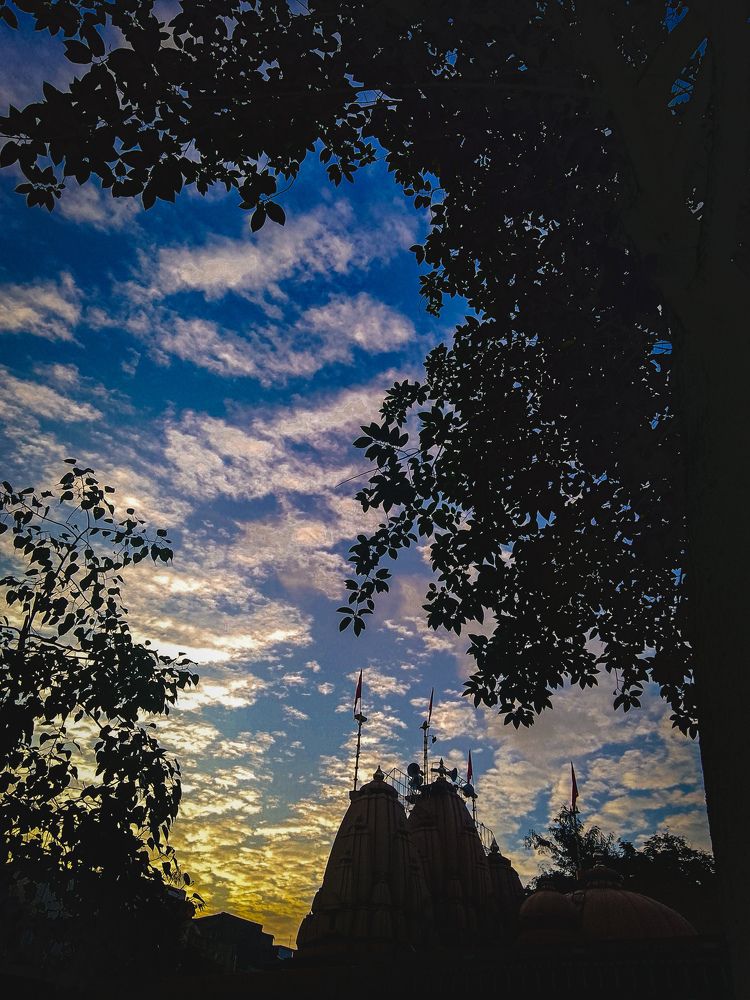 Photo #10655432