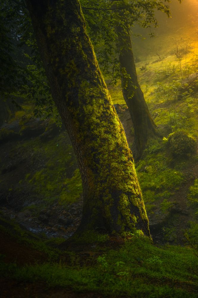 Photograph by Morteza Ghanbari