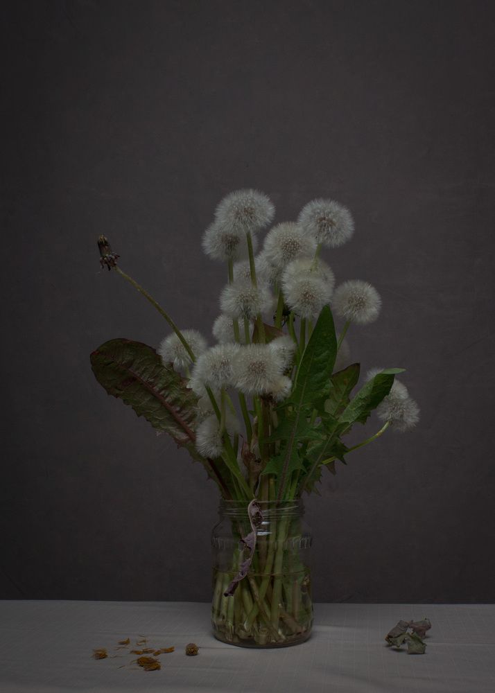 Photograph by Альбина Дылёва