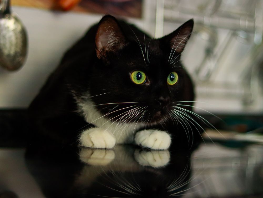 Photograph by Irina Sorokoletova