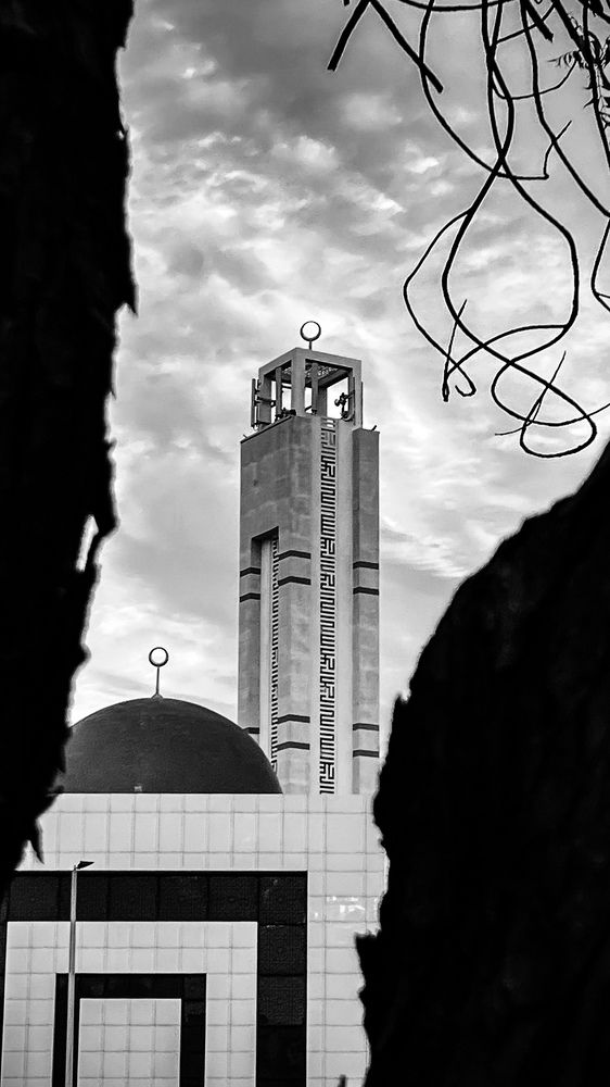 Photograph by Errol Da Gama