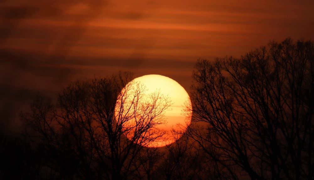 Photograph by Mafaz Abdeen