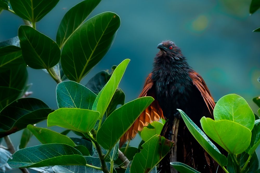 Photograph by Solanki Ravirajsinh