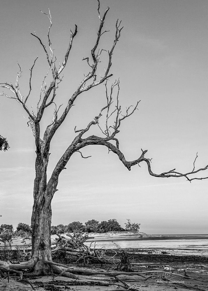 Photograph by Hung Nguyen