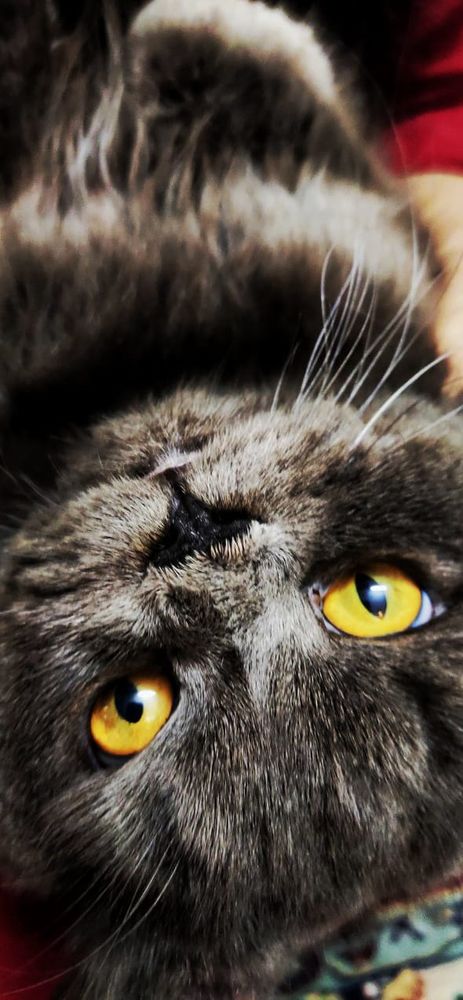 Photograph by Abid Ali Khan