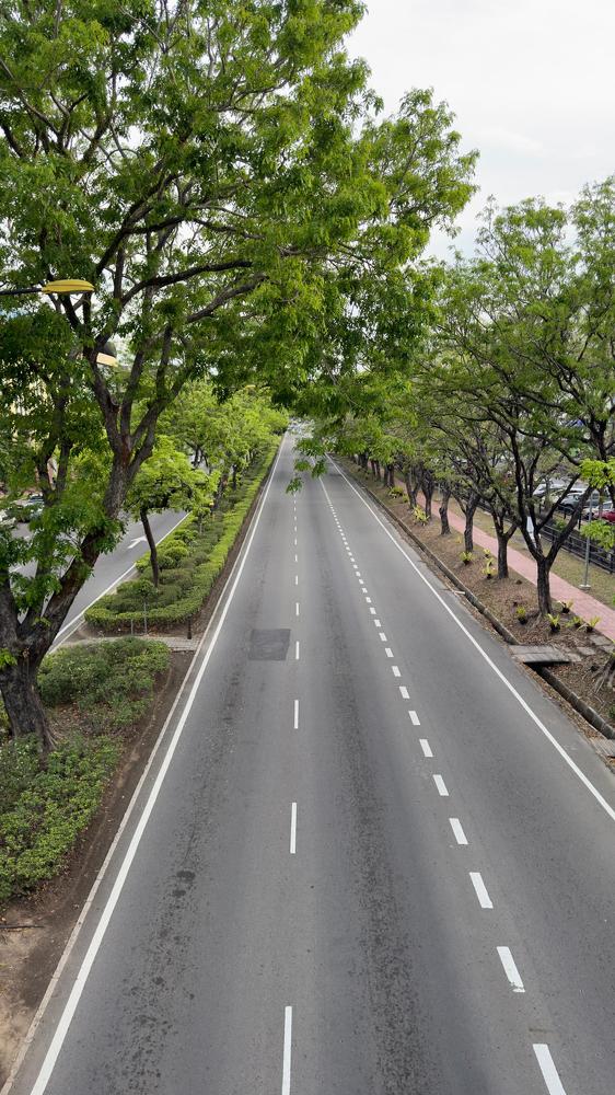 Photograph by Marianie Joanes