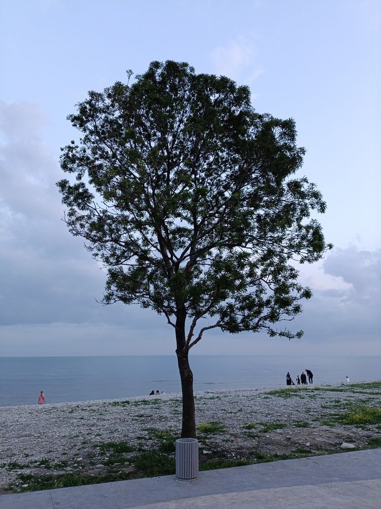 Photograph by Александр Панин