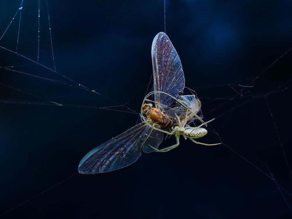 Photograph by Лукашук Евгений