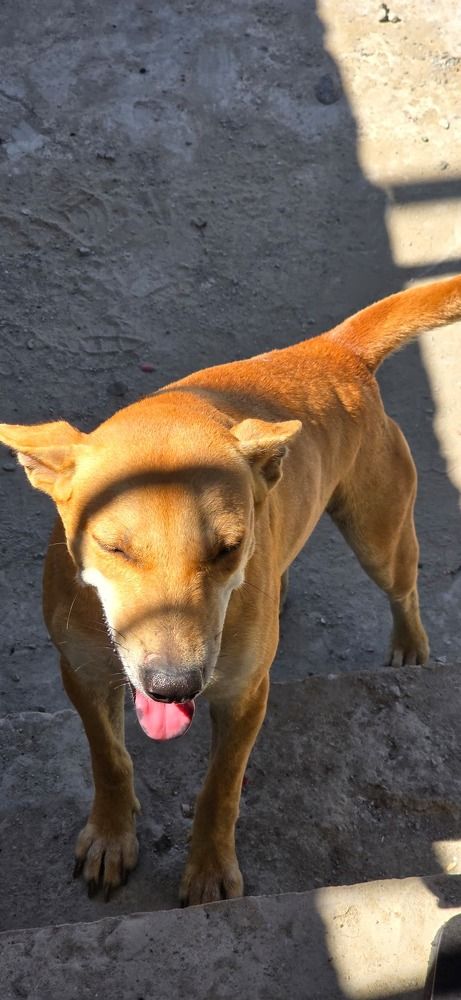 Photograph by Marianie Joanes