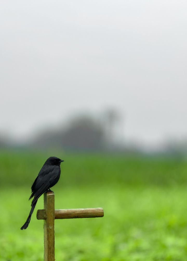 Photograph by Muhammad Hamza Hussnain