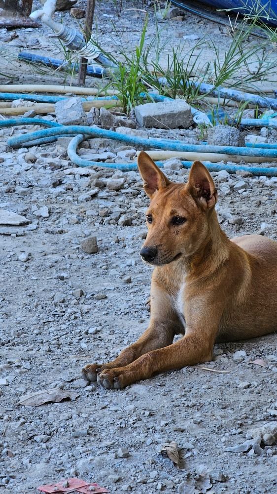 Photograph by Marianie Joanes