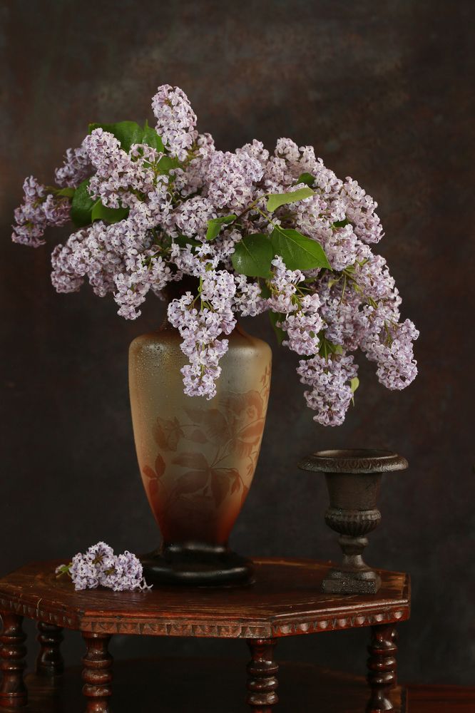 Photograph by Алена Гершфельд