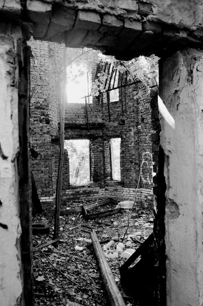 Photograph by Александр Лабутин
