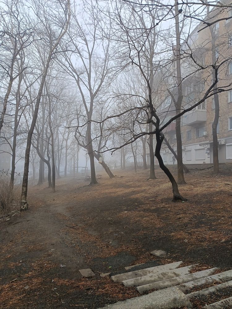 Photograph by Наталья Заровнева